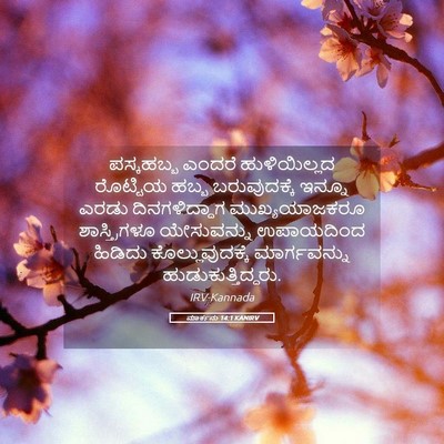 Picture 05 - ಮಾರ್ಕನು 14:1 KANIRV - ಪಸ್ಕಹಬ್ಬ ಎಂದರೆ - Bible Verse Picture