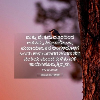 Picture 05 - ಮಾರ್ಕನು 14:54 KANIRV - ಮತ್ತು ಪೇತ್ರನು - Bible Verse Picture