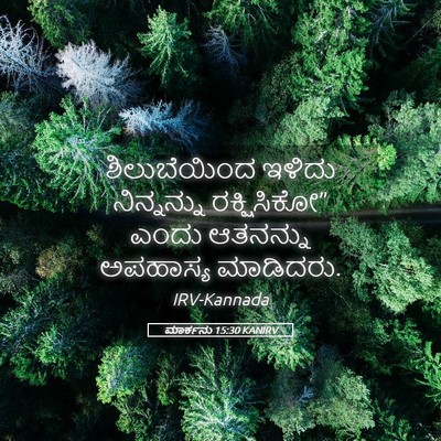 Picture 05 - ಮಾರ್ಕನು 15:30 KANIRV - ಶಿಲುಬೆಯಿಂದ ಇಳಿದು - Bible Verse Picture