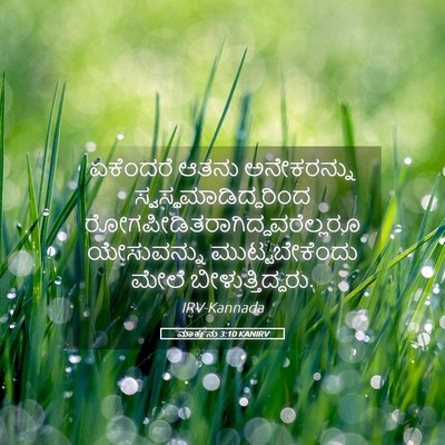 Picture 05 - ಮಾರ್ಕನು 3:10 KANIRV - ಏಕೆಂದರೆ ಆತನು - Bible Verse Picture