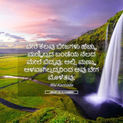 Picture 05 - ಮಾರ್ಕನು 4:5 KANIRV - ಬೇರೆ ಕೆಲವು ಬೀಜಗಳು - Bible Verse Picture