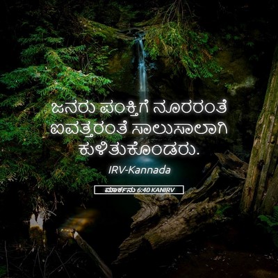 Picture 05 - ಮಾರ್ಕನು 6:40 KANIRV - ಜನರು ಪಂಕ್ತಿಗೆ - Bible Verse Picture