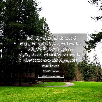 Picture 05 - ಮಾರ್ಕನು 8:25 KANIRV - ತನ್ನ ಕೈಗಳನ್ನು - Bible Verse Picture