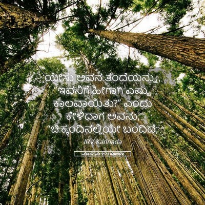 Picture 05 - ಮಾರ್ಕನು 9:21 KANIRV - ಯೇಸು ಅವನ - Bible Verse Picture