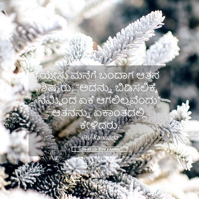 Picture 05 - ಮಾರ್ಕನು 9:28 KANIRV - ಯೇಸು ಮನೆಗೆ ಬಂದಾಗ - Bible Verse Picture