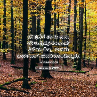 Picture 05 - ಮಾರ್ಕನು 9:6 KANIRV - ಪೇತ್ರನಿಗೆ ತಾನು - Bible Verse Picture