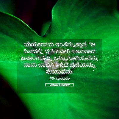 Picture 05 - ಮೀಕನು 4:6 KANIRV - ಯೆಹೋವನು - Bible Verse Picture