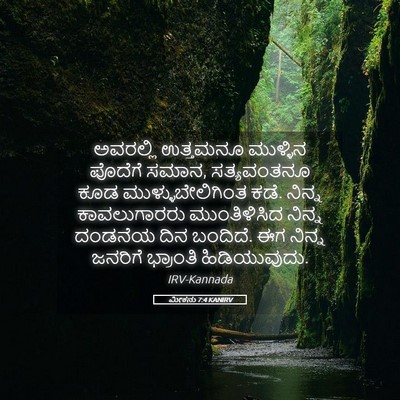 Picture 05 - ಮೀಕನು 7:4 KANIRV - ಅವರಲ್ಲಿ ಉತ್ತಮನೂ - Bible Verse Picture