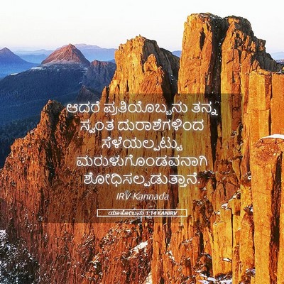 Picture 05 - ಯಾಕೋಬನು 1:14 KANIRV - ಆದರೆ ಪ್ರತಿಯೊಬ್ಬನು - Bible Verse Picture