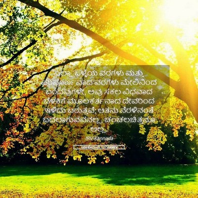Picture 05 - ಯಾಕೋಬನು 1:17 KANIRV - ಎಲ್ಲಾ ಒಳ್ಳೆಯ - Bible Verse Picture