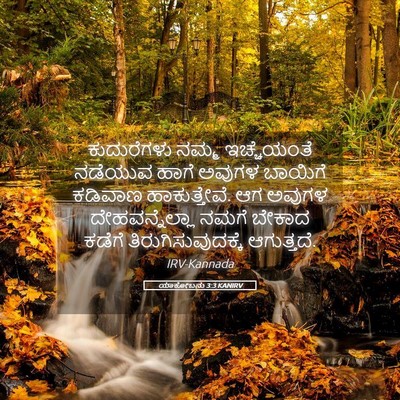 Picture 05 - ಯಾಕೋಬನು 3:3 KANIRV - ಕುದುರೆಗಳು ನಮ್ಮ - Bible Verse Picture
