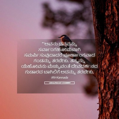 Picture 05 - ಯಾಜಕಕಾಂಡ 1:3 KANIRV - “‘ಅವನು ದನವನ್ನು - Bible Verse Picture