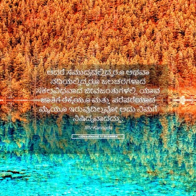 Picture 05 - ಯಾಜಕಕಾಂಡ 11:10 KANIRV - ಆದರೆ - Bible Verse Picture