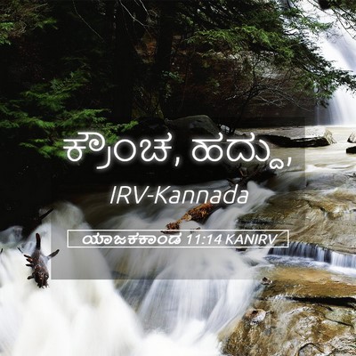 Picture 05 - ಯಾಜಕಕಾಂಡ 11:14 KANIRV - ಕ್ರೌಂಚ, - Bible Verse Picture