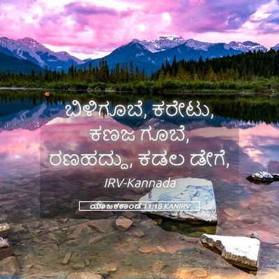 Picture 05 - ಯಾಜಕಕಾಂಡ 11:18 KANIRV - ಬಿಳಿಗೂಬೆ, ಕರೇಟು, - Bible Verse Picture