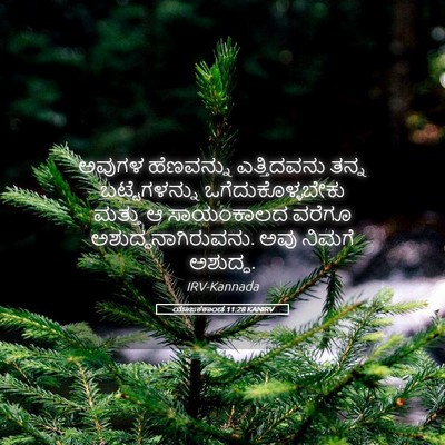 Picture 05 - ಯಾಜಕಕಾಂಡ 11:28 KANIRV - ಅವುಗಳ ಹೆಣವನ್ನು - Bible Verse Picture