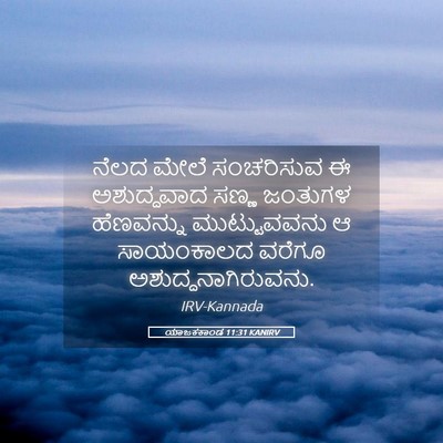 Picture 05 - ಯಾಜಕಕಾಂಡ 11:31 KANIRV - ನೆಲದ ಮೇಲೆ - Bible Verse Picture