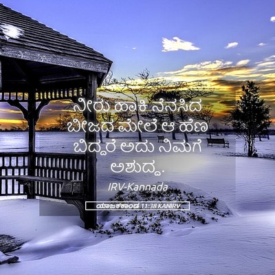 Picture 05 - ಯಾಜಕಕಾಂಡ 11:38 KANIRV - ನೀರು ಹಾಕಿ ನೆನಸಿದ - Bible Verse Picture