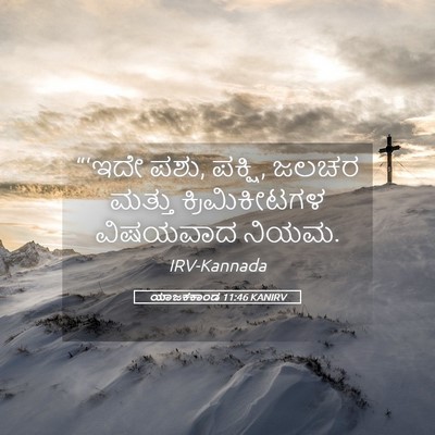 Picture 05 - ಯಾಜಕಕಾಂಡ 11:46 KANIRV - “‘ಇದೇ ಪಶು, ಪಕ್ಷಿ, - Bible Verse Picture