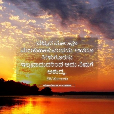 Picture 05 - ಯಾಜಕಕಾಂಡ 11:5 KANIRV - ಬೆಟ್ಟದ ಮೊಲವೂ - Bible Verse Picture