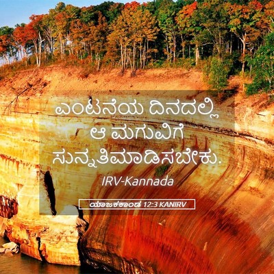 Picture 05 - ಯಾಜಕಕಾಂಡ 12:3 KANIRV - ಎಂಟನೆಯ ದಿನದಲ್ಲಿ ಆ - Bible Verse Picture