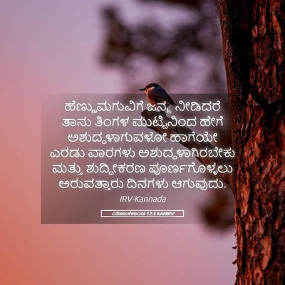 Picture 05 - ಯಾಜಕಕಾಂಡ 12:5 KANIRV - ಹೆಣ್ಣುಮಗುವಿಗೆ - Bible Verse Picture
