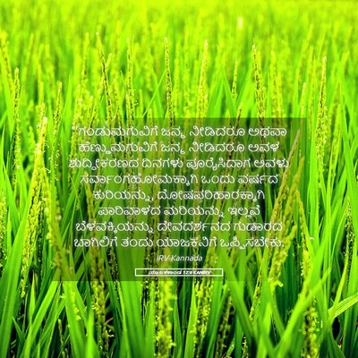 Picture 05 - ಯಾಜಕಕಾಂಡ 12:6 KANIRV - “‘ಗಂಡುಮಗುವಿಗೆ - Bible Verse Picture