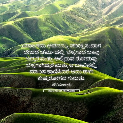 Picture 05 - ಯಾಜಕಕಾಂಡ 13:10 KANIRV - ಯಾಜಕನು ಅವನನ್ನು - Bible Verse Picture