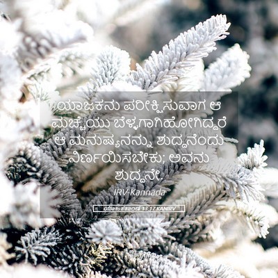 Picture 05 - ಯಾಜಕಕಾಂಡ 13:17 KANIRV - ಯಾಜಕನು - Bible Verse Picture