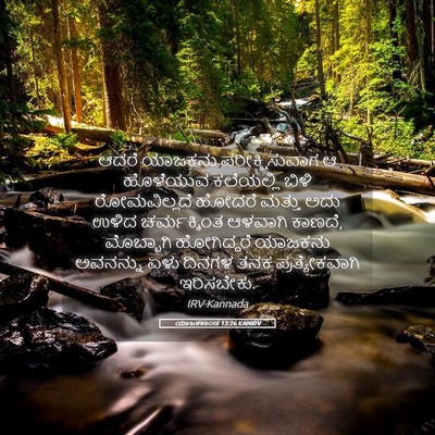 Picture 05 - ಯಾಜಕಕಾಂಡ 13:26 KANIRV - ಆದರೆ ಯಾಜಕನು - Bible Verse Picture