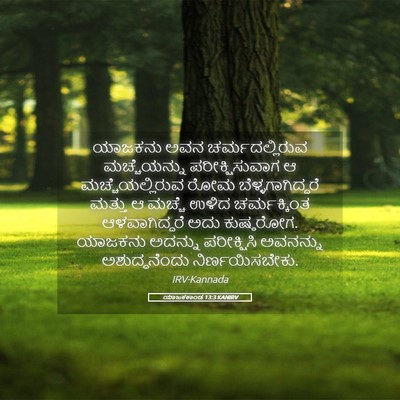 Picture 05 - ಯಾಜಕಕಾಂಡ 13:3 KANIRV - ಯಾಜಕನು ಅವನ - Bible Verse Picture