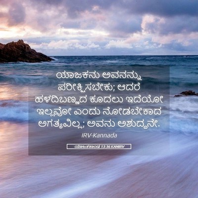 Picture 05 - ಯಾಜಕಕಾಂಡ 13:36 KANIRV - ಯಾಜಕನು ಅವನನ್ನು - Bible Verse Picture