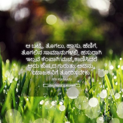 Picture 05 - ಯಾಜಕಕಾಂಡ 13:49 KANIRV - ಆ ಬಟ್ಟೆ, ತೊಗಲು, - Bible Verse Picture