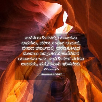 Picture 05 - ಯಾಜಕಕಾಂಡ 13:5 KANIRV - ಏಳನೆಯ ದಿನದಲ್ಲಿ - Bible Verse Picture