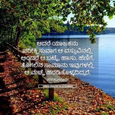 Picture 05 - ಯಾಜಕಕಾಂಡ 13:53 KANIRV - ಆದರೆ ಯಾಜಕನು - Bible Verse Picture