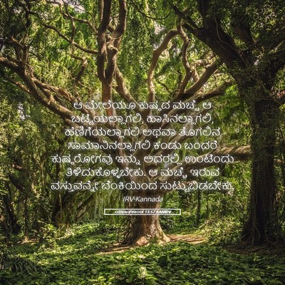 Picture 05 - ಯಾಜಕಕಾಂಡ 13:57 KANIRV - ಆ ಮೇಲೆಯೂ ಕುಷ್ಠದ - Bible Verse Picture
