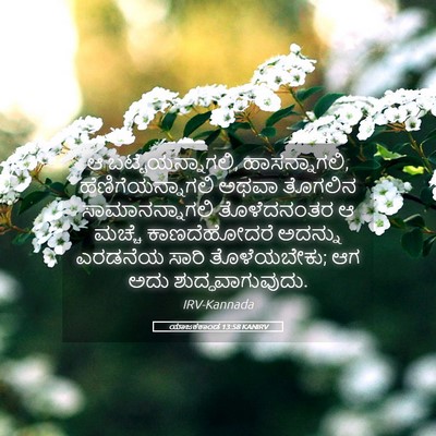 Picture 05 - ಯಾಜಕಕಾಂಡ 13:58 KANIRV - ಆ ಬಟ್ಟೆಯನ್ನಾಗಲಿ, - Bible Verse Picture