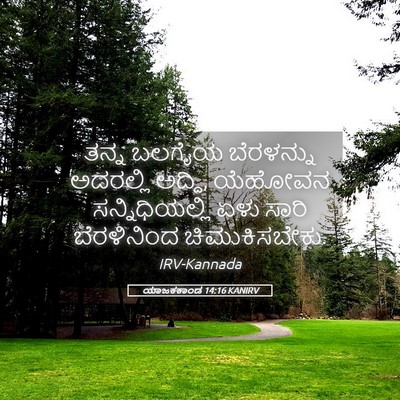 Picture 05 - ಯಾಜಕಕಾಂಡ 14:16 KANIRV - ತನ್ನ ಬಲಗೈಯ - Bible Verse Picture