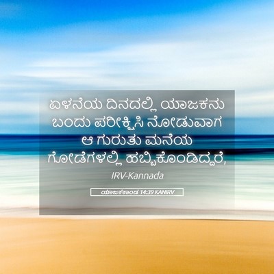 Picture 05 - ಯಾಜಕಕಾಂಡ 14:39 KANIRV - ಏಳನೆಯ ದಿನದಲ್ಲಿ - Bible Verse Picture