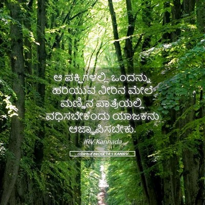 Picture 05 - ಯಾಜಕಕಾಂಡ 14:5 KANIRV - ಆ ಪಕ್ಷಿಗಳಲ್ಲಿ - Bible Verse Picture