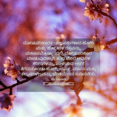 Picture 05 - ಯಾಜಕಕಾಂಡ 16:27 KANIRV - ದೋಷಪರಿಹಾರಕ - Bible Verse Picture