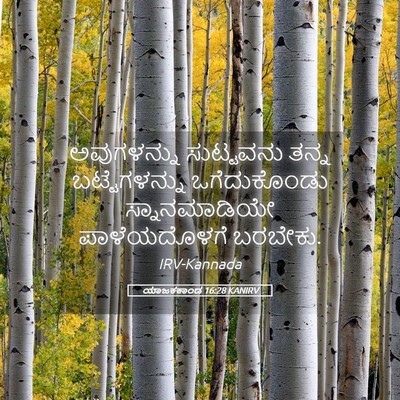 Picture 05 - ಯಾಜಕಕಾಂಡ 16:28 KANIRV - ಅವುಗಳನ್ನು - Bible Verse Picture
