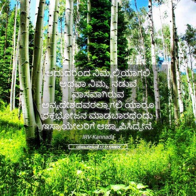 Picture 05 - ಯಾಜಕಕಾಂಡ 17:12 KANIRV - ಆದುದರಿಂದ - Bible Verse Picture
