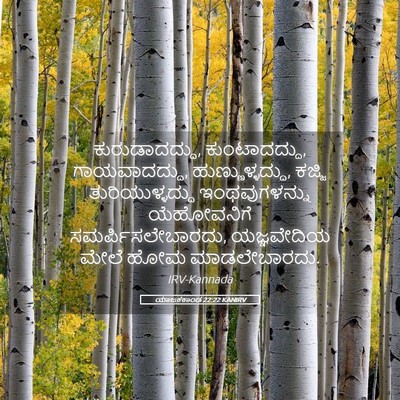 Picture 05 - ಯಾಜಕಕಾಂಡ 22:22 KANIRV - ಕುರುಡಾದದ್ದು, - Bible Verse Picture