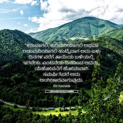 Picture 05 - ಯಾಜಕಕಾಂಡ 22:27 KANIRV - “ಕರುವಾಗಲಿ, - Bible Verse Picture