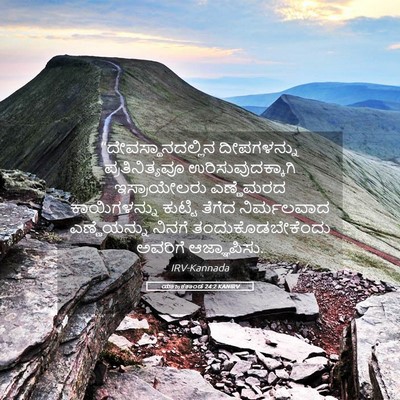 Picture 05 - ಯಾಜಕಕಾಂಡ 24:2 KANIRV - “ದೇವಸ್ಥಾನದಲ್ಲಿನ - Bible Verse Picture
