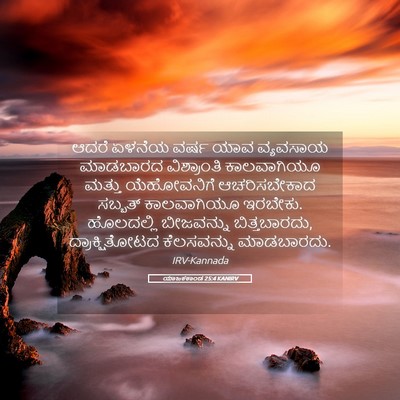 Picture 05 - ಯಾಜಕಕಾಂಡ 25:4 KANIRV - ಆದರೆ ಏಳನೆಯ ವರ್ಷ - Bible Verse Picture