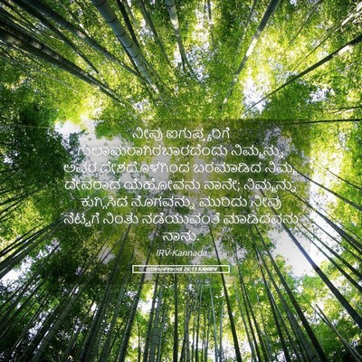 Picture 05 - ಯಾಜಕಕಾಂಡ 26:13 KANIRV - ನೀವು ಐಗುಪ್ತ್ಯರಿಗೆ - Bible Verse Picture