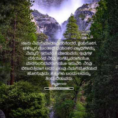 Picture 05 - ಯಾಜಕಕಾಂಡ 26:16 KANIRV - ನಾನು ನಿಮಗೆ - Bible Verse Picture