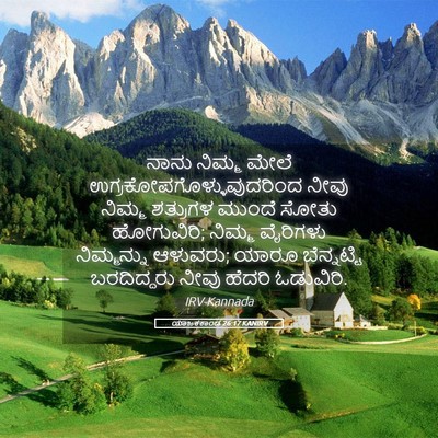 Picture 05 - ಯಾಜಕಕಾಂಡ 26:17 KANIRV - ನಾನು ನಿಮ್ಮ ಮೇಲೆ - Bible Verse Picture